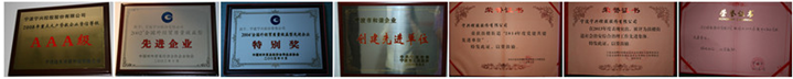心系社會(huì)，切實(shí)履行企業(yè)公民責(zé)任。